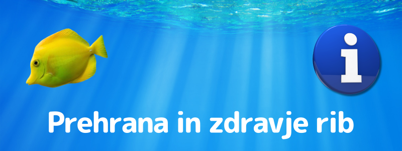 Kako skrbim za prehrano in zdravje rib